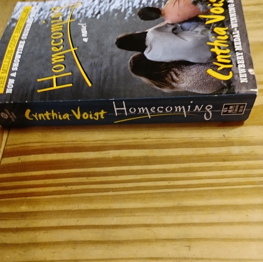 ♥️♥️♥️ Homecoming a novel - Picture 2 of 5